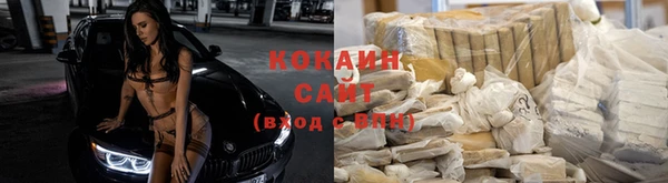 ПСИЛОЦИБИНОВЫЕ ГРИБЫ Белокуриха