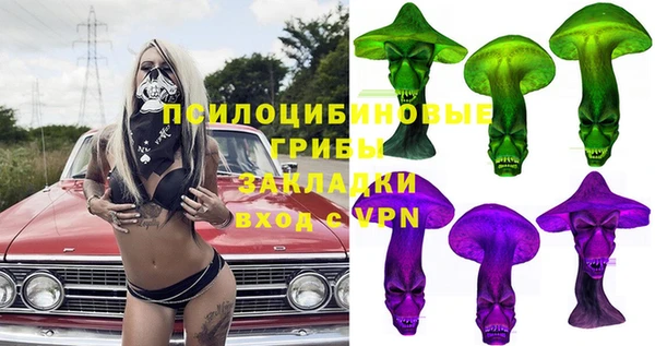 ПСИЛОЦИБИНОВЫЕ ГРИБЫ Белокуриха