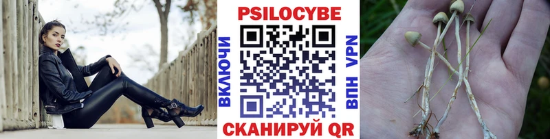 Галлюциногенные грибы Psilocybine cubensis  наркотики  Нижние Серги 